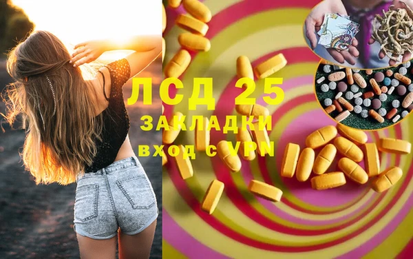 крисы Богданович