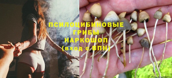 крисы Богданович