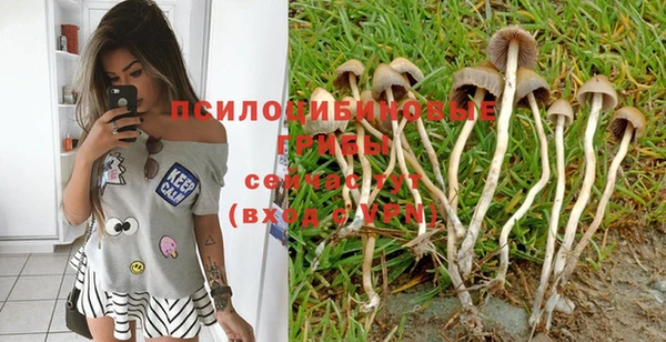 крисы Богданович