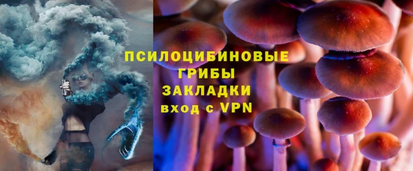 ешки Богородицк